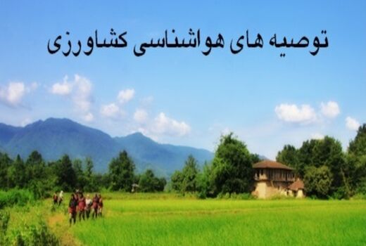 توصیه های هواشناسی کشاورزی به بهره برداران استان تهران اعلام شد