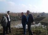 لایروبی ۱۰ هکتار از آب بندان‌های روستای خلیفه محله رودسر آغاز شد