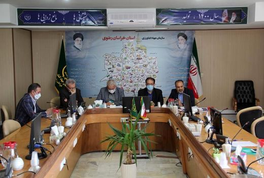 نظارت بر توزیع مرغ از مرغداری تا مصرف کننده باید بیشتر شود