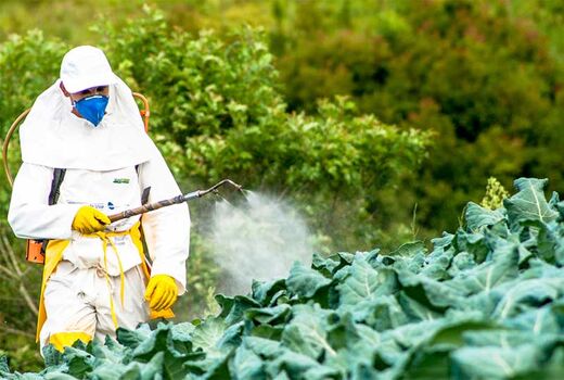 استاندارد حدود مجاز باقی‌مانده آفت‌کش‌ها برای ارتقای ایمنی مواد غذایی اعلام شد