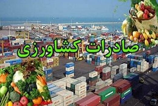 برداشت 160هزار تنی پیاز در استان زنجان