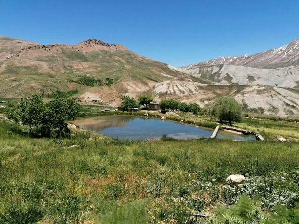 بهره برداری از طرح ۱۱۷ هکتاری آبیاری بارانی_قطره ای دهستان چهارقاش منطقه سبز کوه