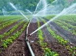 ۸۰۰ هکتار از اراضی کشاورزی بخش صمصامی به سیستم های نوین آبیاری تجهیز می شود