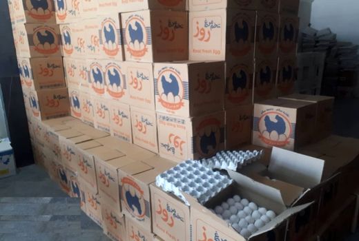 توقیف ۶ محموله غیرمجاز فرآورده خام دامی در اهواز