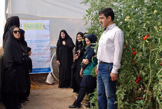 صدور اولین نشان پروانه استاندارد تشویقی برای محصولات تولیدی زنان بهره بردار روستایی در آذربایجان شرقی