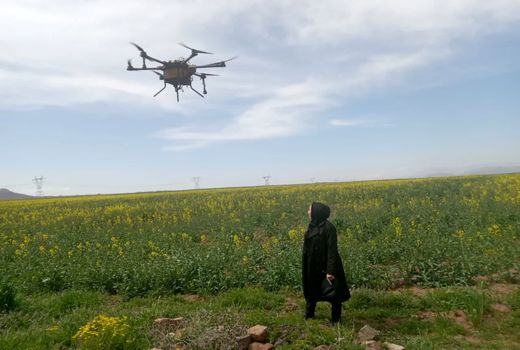 عملیات سمپاشی و محلول پاشی کودهای ریزمغذی با پهپادهای کشاورزی در جلفا