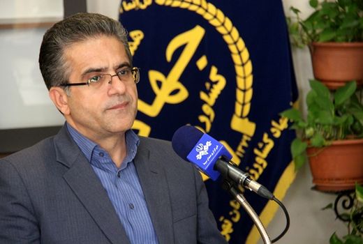 883هکتار از اراضی مرغوب کشاورزی استان تهران امسال به چرخه تولید کشاورزی بازگشت