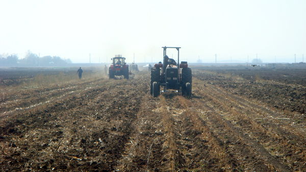 کشت بی خاک ورزی در استان قزوین ۵۰ درصد افزایش داشته است