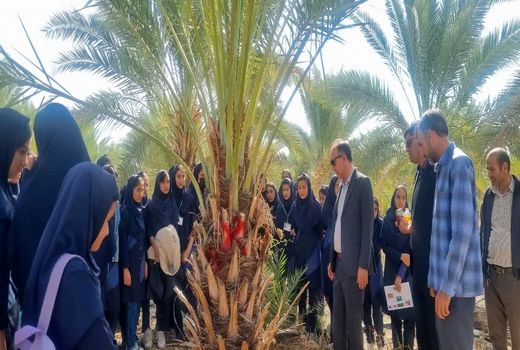 برگزاری کارگاه آشنایی با آفات کشاورزی برای دانش آموزان خنج