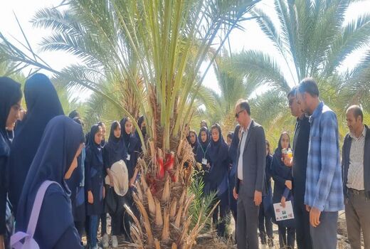 برگزاری کارگاه آشنایی با آفات کشاورزی برای دانش آموزان خنج