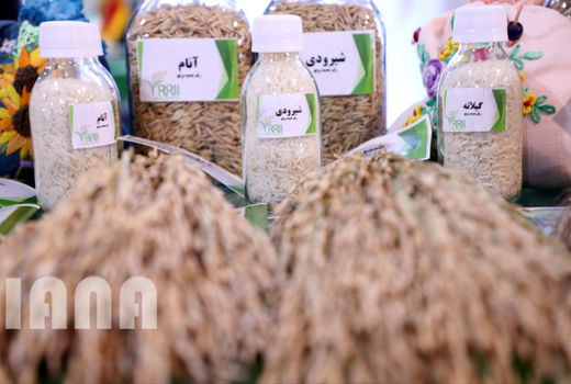 گزارش تصویری بازدید از بیست و سومین نمایشگاه دستاوردهای پژوهش، فناوری و فن بازار