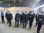 نایب رییس کمیسیون کشاورزی مجلس از بندرشهید رجایی بازدید کرد