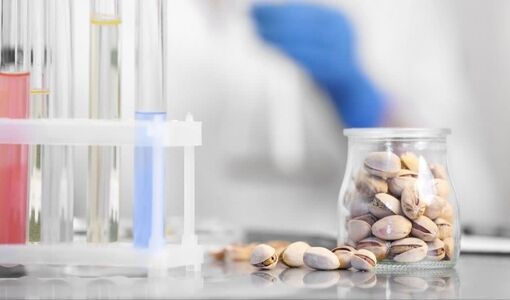  از کنترل آفلاتوکسین تا آزمایشگاه مرجع؛ برنامه پژوهشکده برای ارتقای کیفیت و بهره‌وری پسته