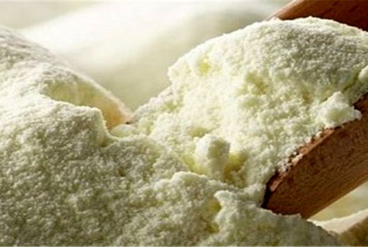 80 درصد شیرخشک ایران به پاکستان صادر شد / جذب اجباری شیرخام در کارخانجات شیرخشک به دلیل کرونا