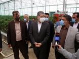 گزارش تصویری سفر وزیر جهاد کشاورزی به شهرستان نظرآباد استان البرز