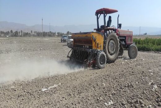 آغاز کشت کلزا در شهرستان زرین دشت