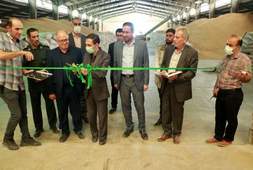 آیین آغاز فرآوری و بوجاری گندم دیم سال زراعی آینده در تاکستان