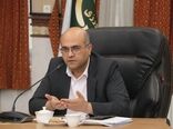 پرداخت ۴.۴ همت از مطالبات گندمکاران قزوین؛ خرید تضمینی گندم از مرز ۲۰۶ هزار تن گذشت