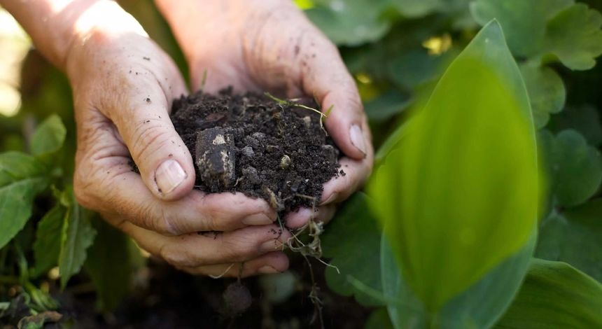 تولید کود در کشور؛ از گشایش ارزی تا گره‌های انرژی