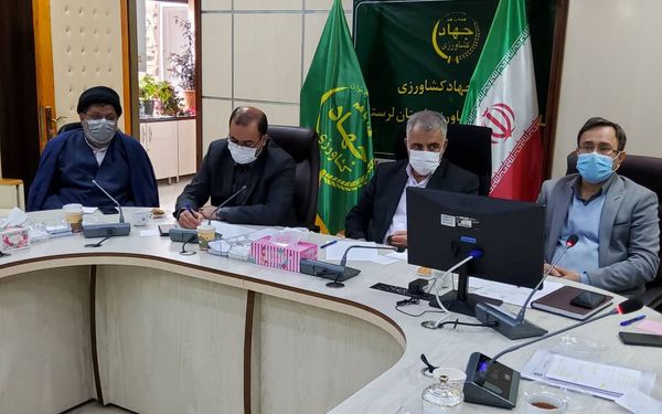 اقدام خوب دولت در واگذاری نظارت و بازرسی کالاهای اساسی به وزارت جهاد کشاورزی