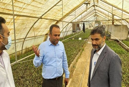 ظرفیت‌ ویژه جهاددانشگاهی برای تقبل ماموریت در حوزه گیاهان دارویی