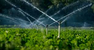 100 درصد اعتبارات مصوب سفر رییس‌جمهور در توسعه سیستم‌های آبیاری نوین خراسان شمالی تخصیص یافت