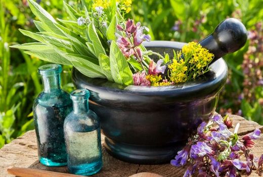 پهنه‌بندی مناطق عشایری آذربایجان شرقی در کشت گیاهان دارویی 