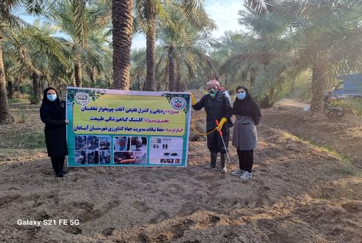 اجرای فاز  دوم پروژه ردیابی و کنترل تلفیقی سوسک‌های چوبخوار نخیلات در آبادان 