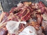 ۸۷ تن فرآورده دامی غیربهداشتی در قزوین ضبط و معدوم شد