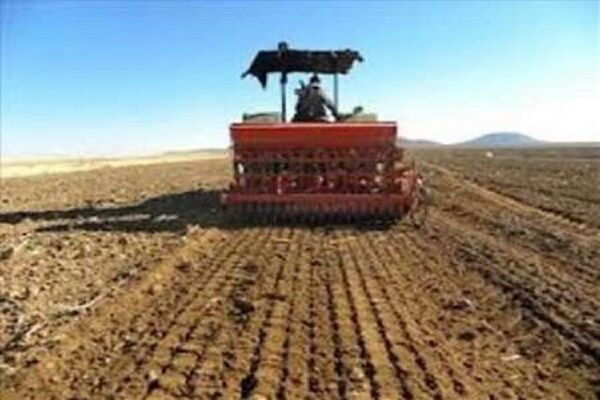 کشاورزان خراسان شمالی کشت انتظاری حبوبات را از نیمه دوم آذر شروع کنند
