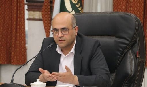 ۹ زنجیره تولید مرغ در قزوین ۳۶ هزار تن گوشت تولید کردند