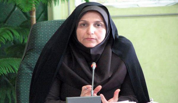 ۱۰۶ طرح کشاورزی در استان قزوین به بهره‌برداری رسید