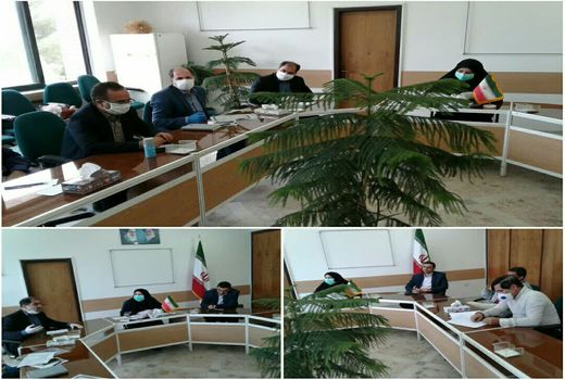  با همکاری جهاد کشاورزی و کمیته امداد امام خمینی(ره) صورت می گیرد:گلخانه ها، منبع درامد خانگی مددجویان کمیته امداد امام (ره)