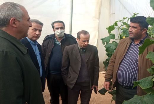 سرمایه گذاری 63 میلیارد ریالی برای گشایش یک گلخانه در سپیدان