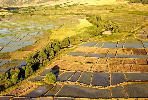 سه راهکار برای ‌پوست‌اندازی در بخش کشاورزی و رشد امنیت غذایی
