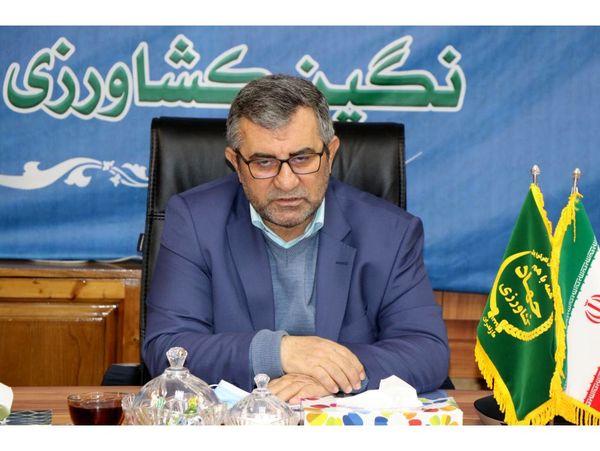 خرید 60 هزارتن گندم در مازندران