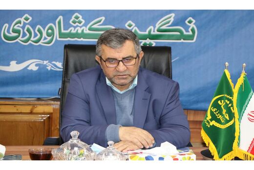 خرید 60 هزارتن گندم در مازندران