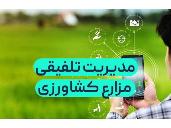 تولید محصول سالم برنج در سه هزار هکتار شالیزار مازندران