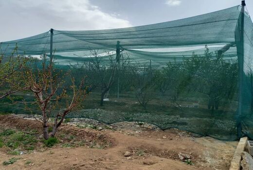 اجرای طرح پایلوت 