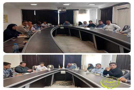 جلسه هماهنگی الگوی کشت  در شهرستان دشتستان برگزار شد