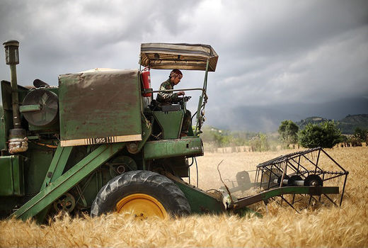اهدای رایگان ۱۳۸۰ فقره سند زمین کشاورزی به مردم مناطق محروم استان گلستان