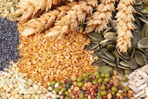 امنیت غذایی هم‌وزن امنیت نظامی است
