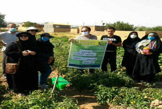 ۳ سایت تولید محصول گواهی شده ویژه زنان روستایی در شهرستان بوئین زهرا ایجاد می شود