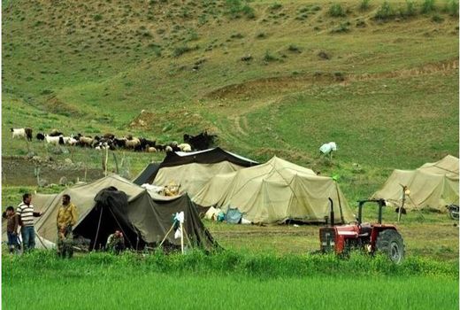 مهاجرت معکوس پنج تا ۱۰ درصدی خانوارهای عشایری