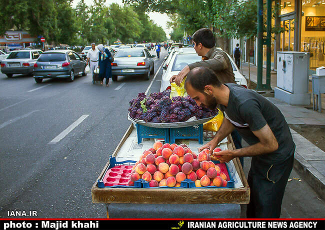 نوبرانه‌های رنگی