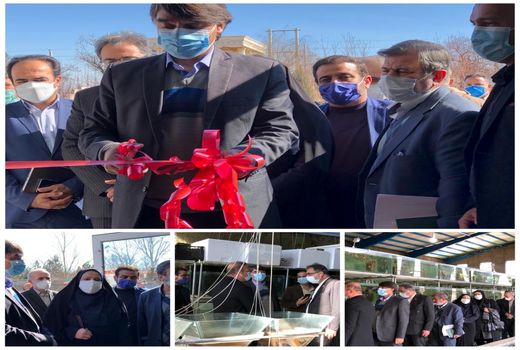 افتتاح بزرگ‌ترین مزرعه پرورش و تکثیر ماهیان زینتی در استان البرز   