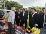 سراب؛ قطب تولید عسل و فرآورده‌های دامی آذربایجان شرقی / ضرورت توسعه صنایع تبدیلی و تکمیلی