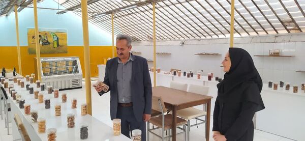پرداخت ۴۰ میلیارد  ریال تسهیلات برای حمایت از توسعه فعالیت‌های کشاورزی زنان روستایی تبریز 
