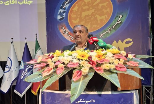 مجلس برای صادرات محصولات دامی ریل گذاری می کند