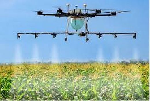 استقرار ۲۲ شرکت دانش‌بنیان کشاورزی در فرودگاه قزوین طی دو سال